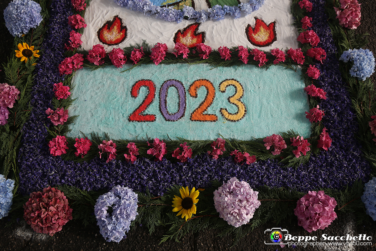 VBS_9594 - Infiorata di Villanova d'Asti 2023.jpg